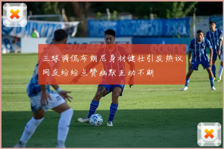三球调侃布朗尼身材健壮引发热议网友纷纷点赞幽默互动不断